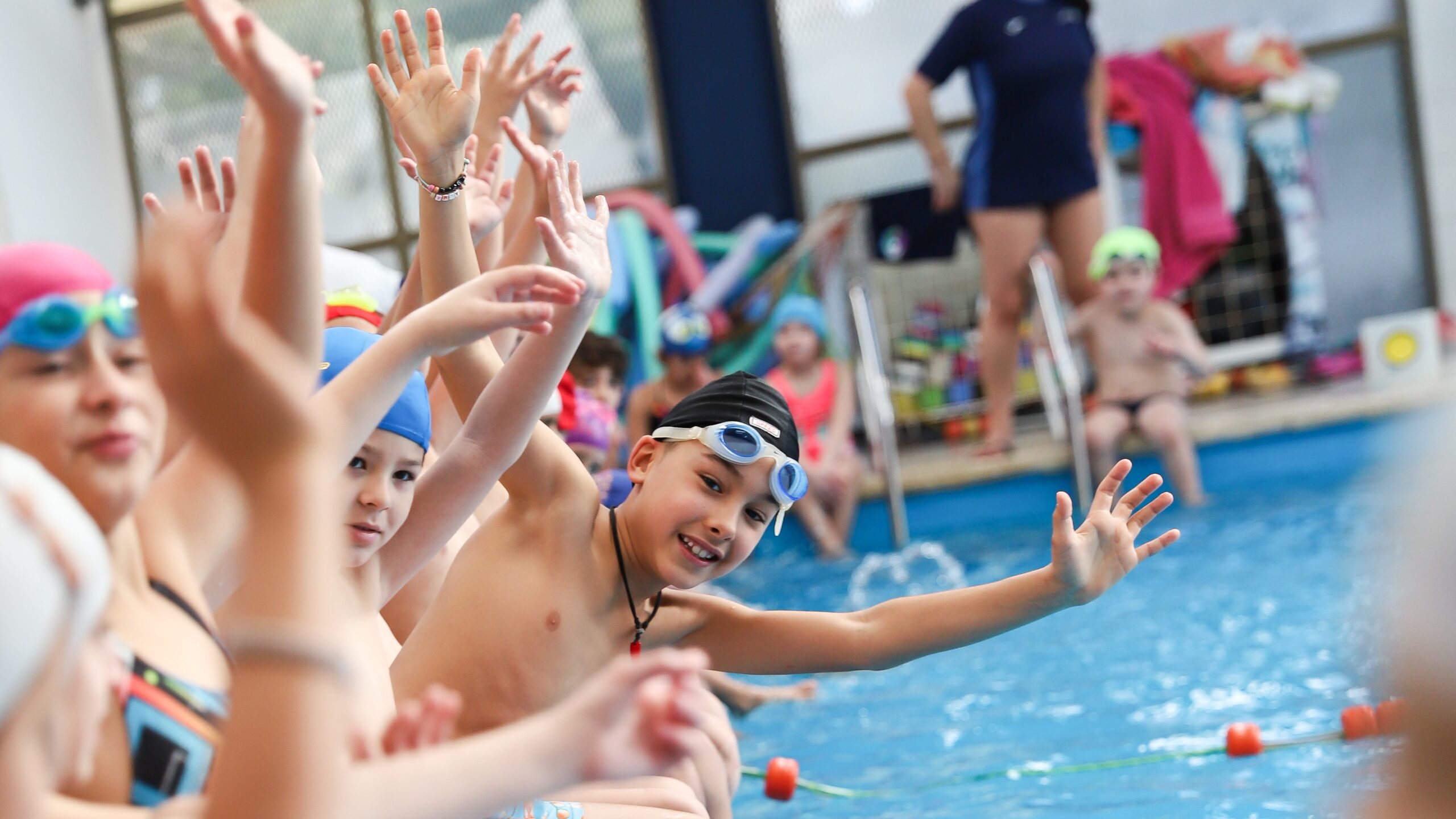 Colonias de invierno