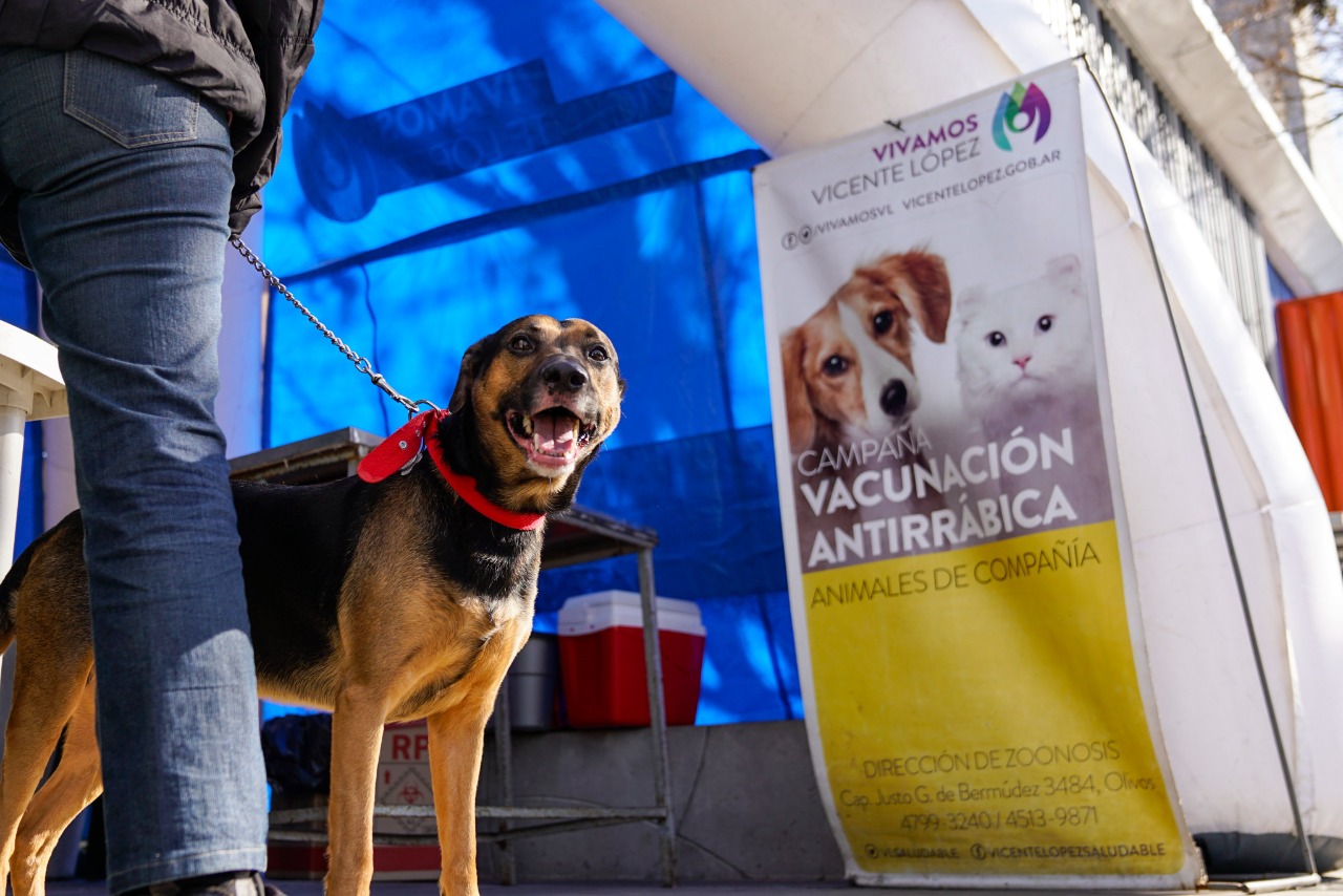 Vicente López brinda servicios de castración para animales de compañía