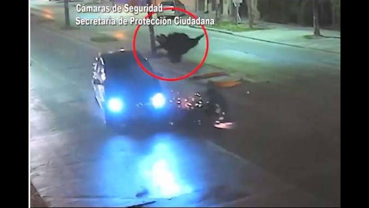 Alcoholizado, chocó a una moto y fue detenido por el COT