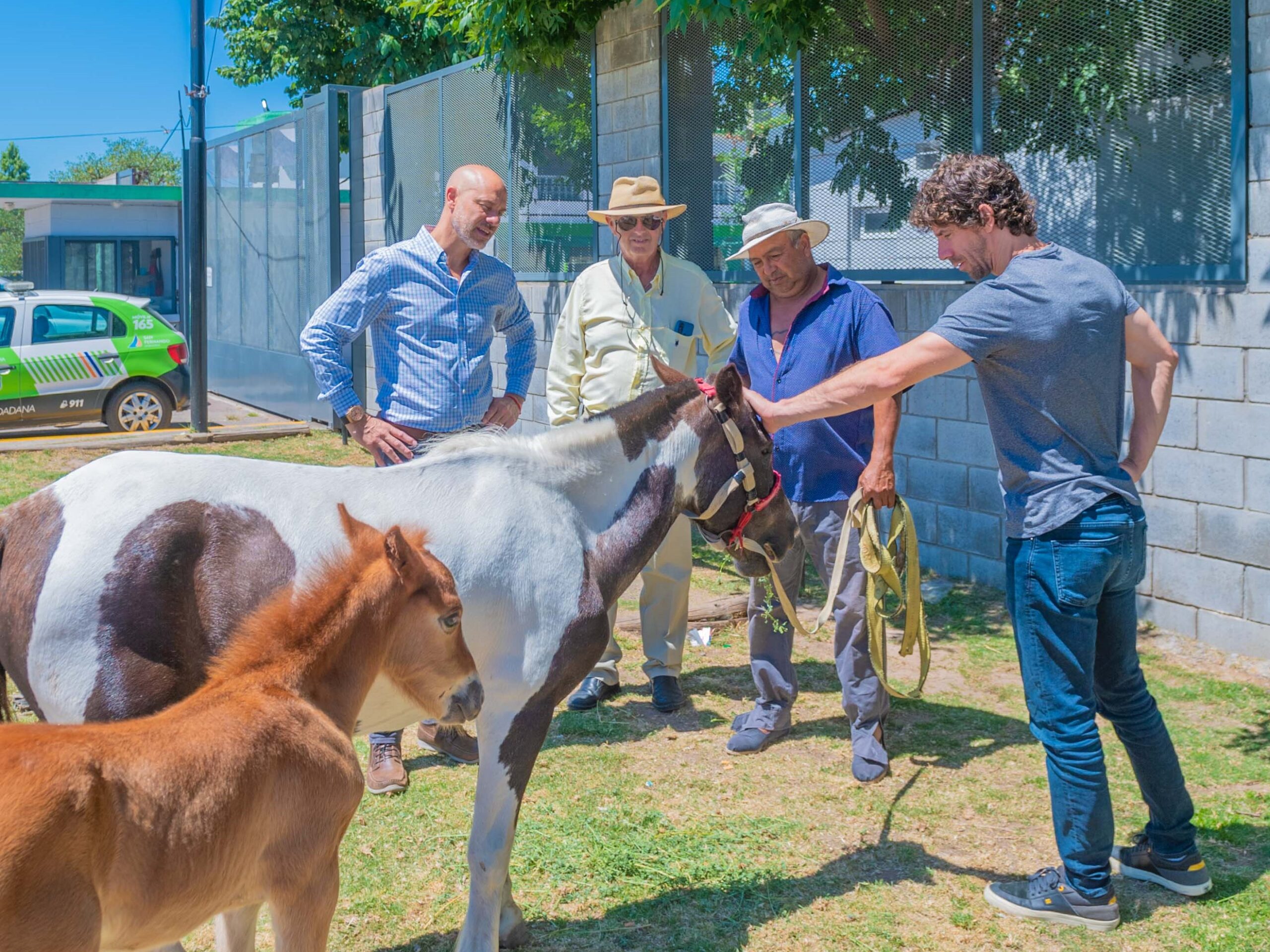 San Fernando liberó dos caballos más y entregó una moto eléctrica contra la Tracción a Sangre