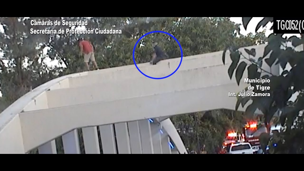 El Sistema de Protección Ciudadana de Tigre evitó un intento de suicidio en el centro de la ciudad