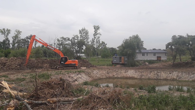 52630706347_c92b1b65cc_c