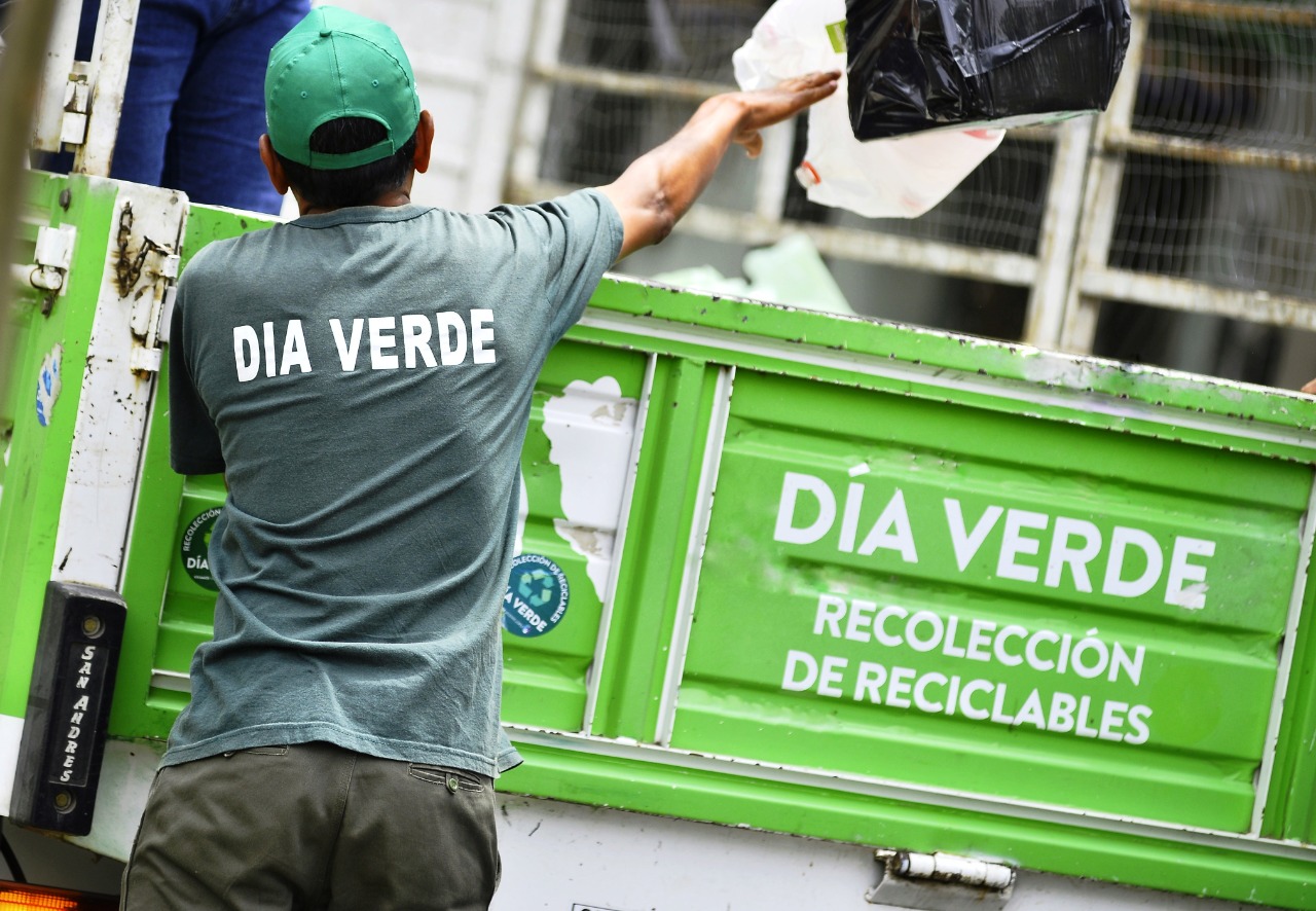 Dia Verde VL (1) (1)