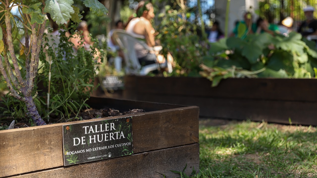 Cómo participar de las huertas en Vicente López