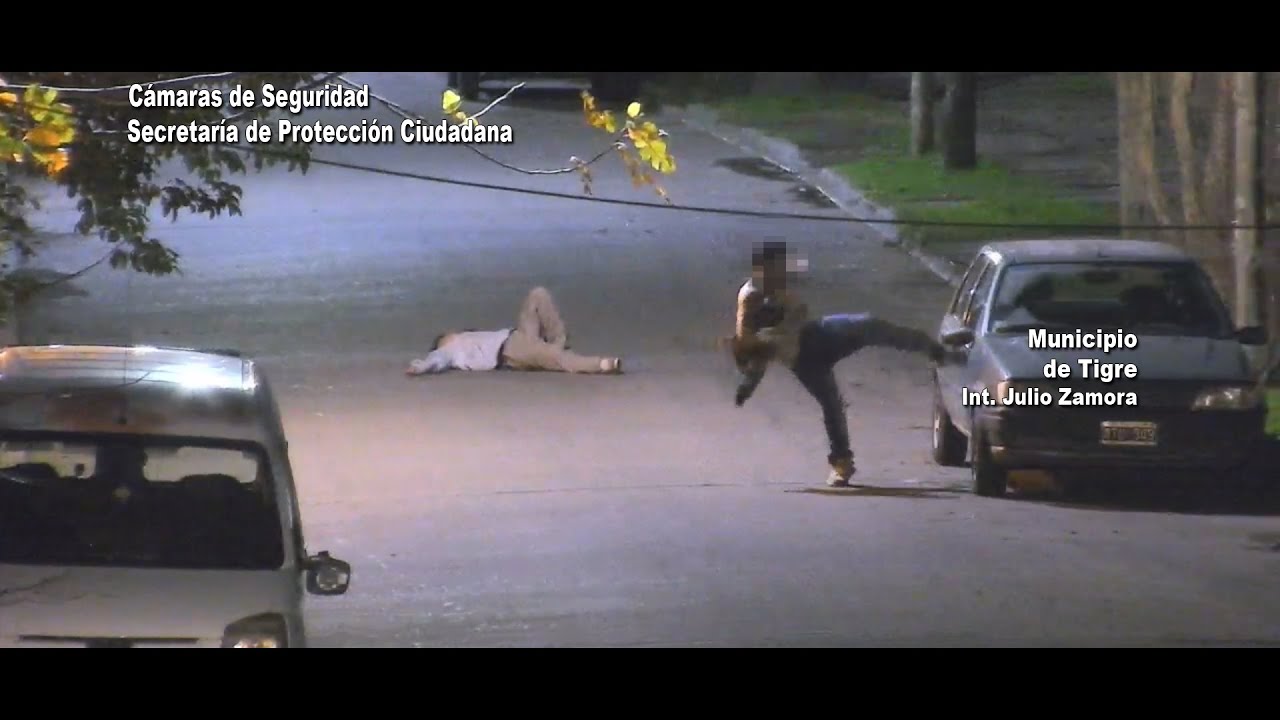 Tigre: el COT detuvo a dos jóvenes que vandalizaron vehículos en la vía pública