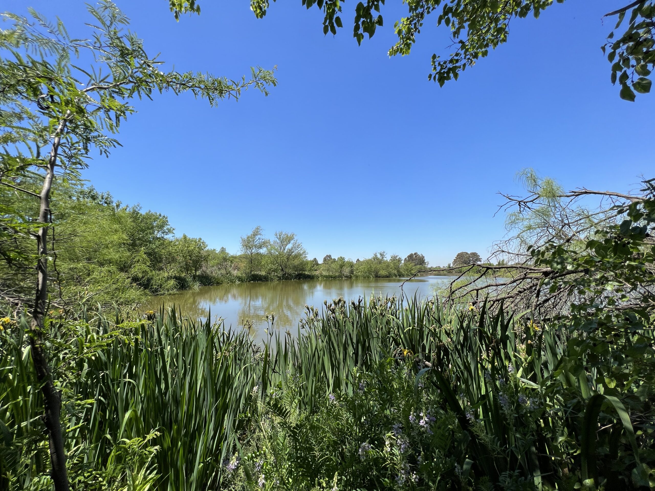 San Martín presenta un proyecto para crear la primera Reserva Ecológica de la ciudad
