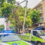 2 trabajos por temporal feb2025 san fernando