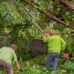 4 trabajos por temporal feb2025 san fernando