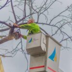 7 trabajos por temporal feb2025 san fernando