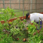 OK 477300606_18304310800231935_1474510959476638400_n