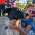 11 dia del animal 2025 en san fernando