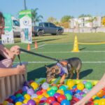 14 dia animal 2025 en san fernando