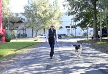 En Benavídez, el intendente Julio Zamora monitoreó la culminación de labores de pavimentación
