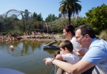 Nueva propuesta del Bioparque Temaikèn: ahora podes hacer una visita exclusivamente al aviario más grande de Sudamérica
