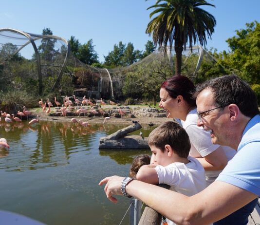 Nueva propuesta del Bioparque Temaikèn: ahora podes hacer una visita exclusivamente al aviario más grande de Sudamérica