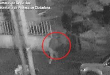 Gracias a las cámaras del COT, las fuerzas de seguridad detuvieron a un individuo que ingresó a robar un domicilio
