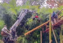 El Municipio de Tigre realizó labores mantenimiento integral en distintos puntos del Delta