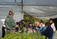 Proyecto Vivero Inclusivo en la Reserva Ecológica Costanera Sur
