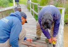 En el Delta de Tigre, el Municipio continúa ejecutando diferentes trabajos de mantenimiento