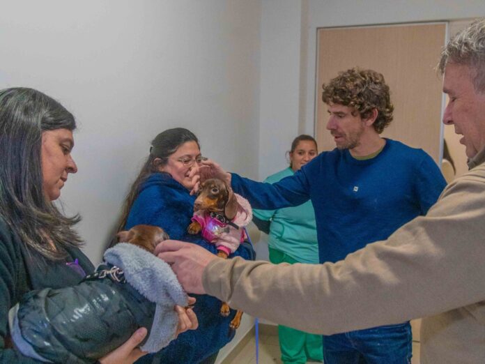 4 presentacion patitas de salud