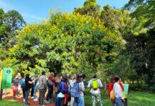 Receso escolar en el Jardín Botánico y en las reservas ecológicas