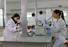 La Provincia organiza el Encuentro Bonaerense de Ciencia y Universidad