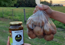 Una ruta entre kiwis, olivos y cielos abiertos donde brotan los sabores