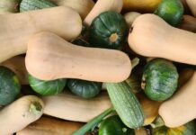 Inscripción a voluntariados gratuitos de agricultura urbana