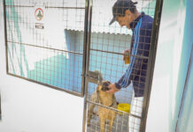 Ya funciona el primer Centro de Inclusión con espacio para mascotas