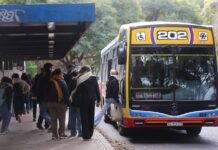 Transporte público gratuito en las elecciones provinciales y nacionales