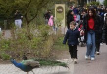 Los imperdibles para disfrutar del último fin de semana de vacaciones de invierno en la Ciudad