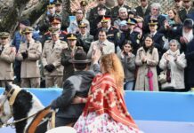 Mas de 20 mil personas participaron del gran desfile cívico militar de San Isidro en homenaje al General San Martín