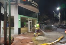 La Ciudad refuerza limpieza y controles para proteger a los animales y llevar tranquilidad a los vecinos
