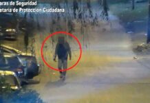 Pirómano suelto en Troncos del Talar detenido luego de un rápido operativo del COT