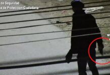 Merodeaba con actitud sospechosa por Troncos del Talar: fue detenido inmediatamente porque tenía en su poder dos armas de fuego
