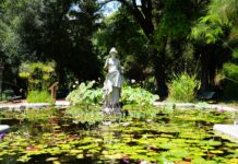 El Jardín Botánico de la Ciudad cumple 127 años