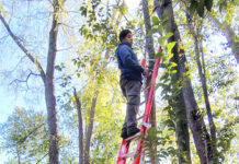 Se extienden los trabajos de mantenimiento integral en el Delta de Tigre
