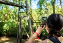 El Municipio invita a la comunidad a participar de la 7ma edición del Tigre Photo Fest 2025
