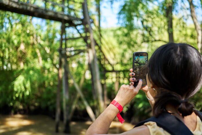 Tigre Photo Fest 3