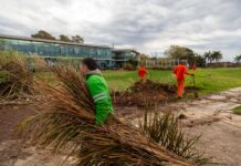 San Isidro recupera 1400 m² de costa y da un paso más en su plan para conectar el distrito con el río