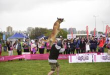 Dogrun celebró su 13° edición, esta vez en Vicente López