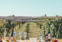 ENOTURISMO: calendario de eventos Vinos Buenos Aires
