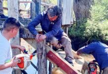Gestión municipal: continúan los trabajos de mantenimiento integral en el Delta de Tigre