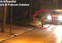 Estaba prófugo de la Justicia, circulaba en un auto con pedido de captura e intentó darse a la fuga: quedó detenido