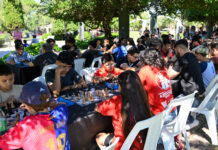 Escuela Municipal de Ajedrez de Tigre, la propuesta comunal que convoca a más de 13.400 alumnos y alumnas