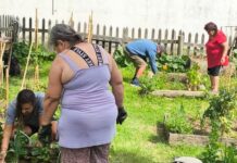 En Don Torcuato, el Municipio de Tigre lleva adelante el Taller de Huerta Comunitaria