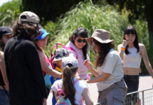 Programación de verano del Ecoparque