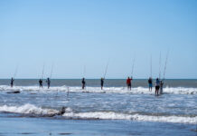 Sabores y tradiciones del sur bonaerenses: entre ostras, pesca deportiva y calma costera