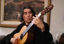 Luis Salinas en concierto
