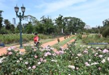 Los imperdibles para disfrutar el fin de semana en la Ciudad